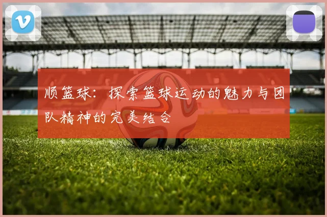 顺篮球：探索篮球运动的魅力与团队精神的完美结合