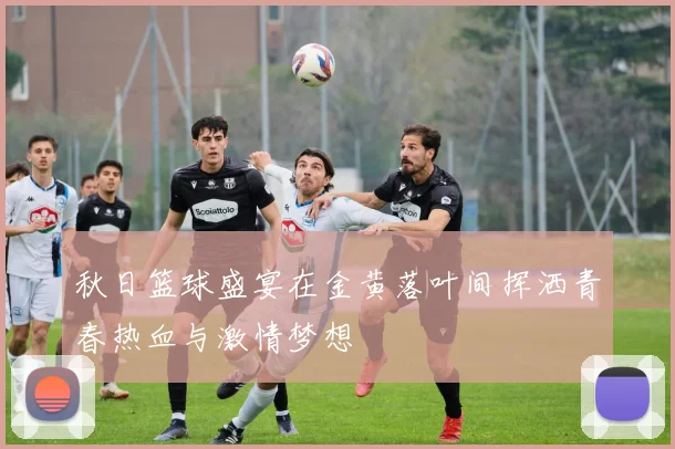秋日篮球盛宴在金黄落叶间挥洒青春热血与激情梦想