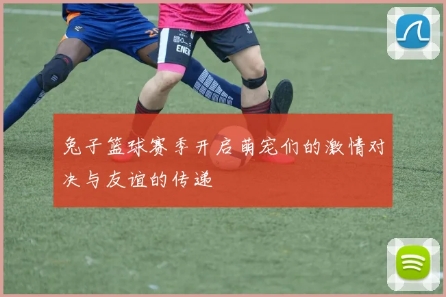 兔子篮球赛季开启萌宠们的激情对决与友谊的传递