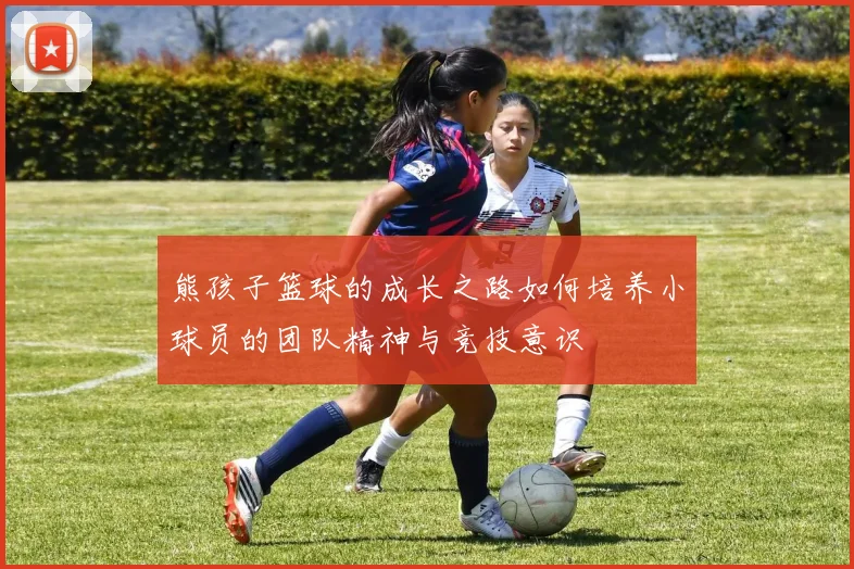 熊孩子篮球的成长之路如何培养小球员的团队精神与竞技意识