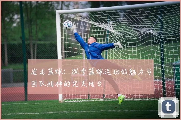 岩龙篮球：探索篮球运动的魅力与团队精神的完美结合